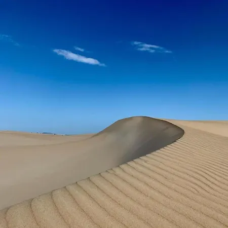 Oasis Dunas Raices Del Mar Paraiso Unico アパート *