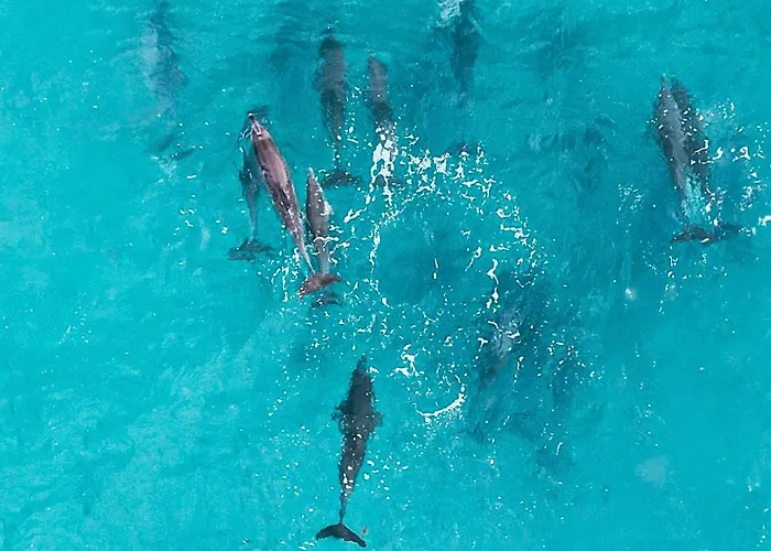 Oasis Dunas Raices Del Mar Paraiso Unico Appartement Corralejo