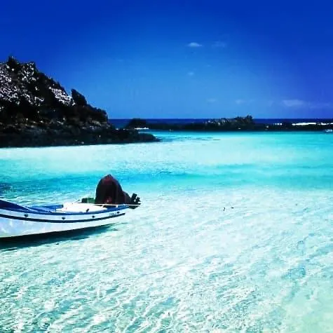 Oasis Dunas Raices Del Mar Paraiso Unico