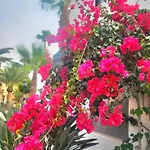 Oasis Dunas Raices Del Mar Paraiso Unico Daire *