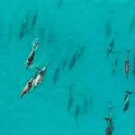 Oasis Dunas Raices Del Mar Paraiso Unico Daire *