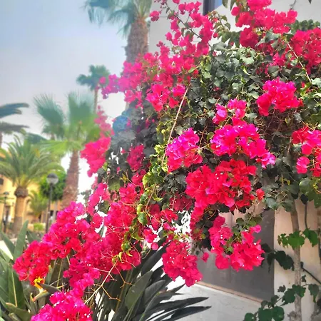 Oasis Dunas Raices Del Mar Paraiso Unico Апартаменты *