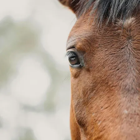 Апартаменты Oasis Dunas Raices Del Mar Paraiso Unico *