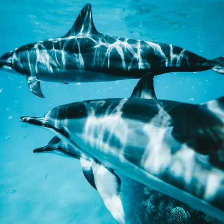 Oasis Dunas Raices Del Mar Paraiso Unico