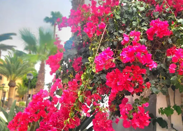 Oasis Dunas Raices Del Mar Paraiso Unico Lägenhet *