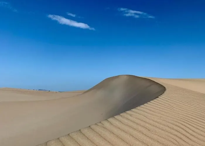 Oasis Dunas Raices Del Mar Paraiso Unico Lägenhet *