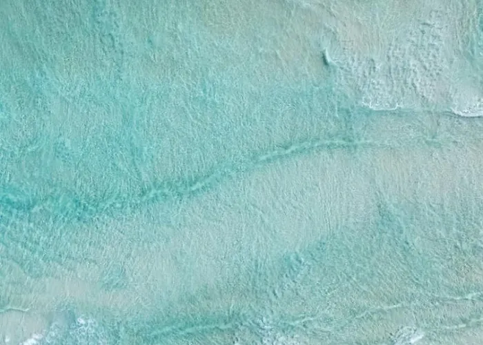 Oasis Dunas Raices Del Mar Paraiso Unico *