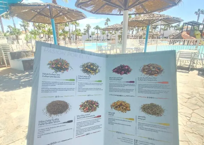 Oasis Dunas Raices Del Mar Paraiso Unico Lägenhet *