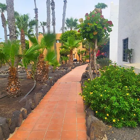 Apartament Oasis Dunas Raices Del Mar Paraiso Unico Corralejo