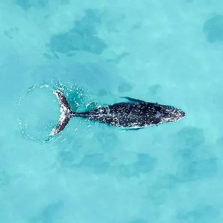 Oasis Dunas Raices Del Mar Paraiso Unico Apartment *