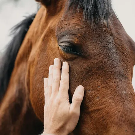 Oasis Dunas Raices Del Mar Paraiso Unico Corralejo