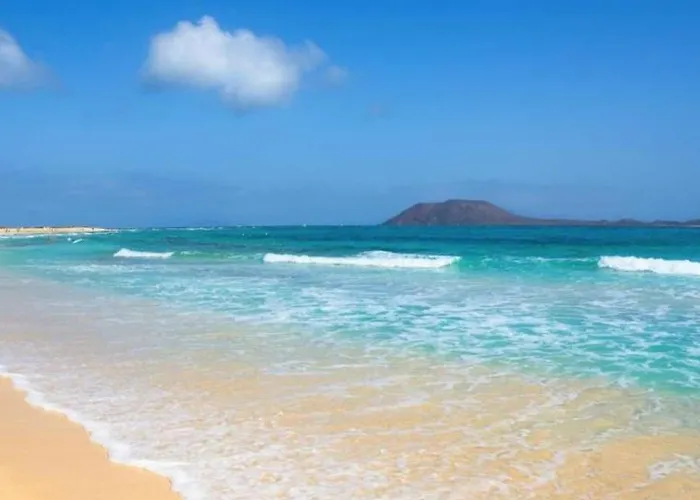 Oasis Dunas Raices Del Mar Paraiso Unico *