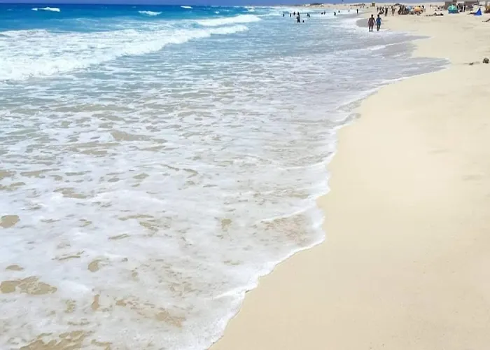 Oasis Dunas Raices Del Mar Paraiso Unico * Corralejo