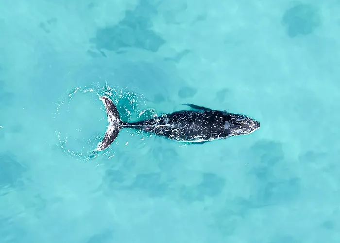 Oasis Dunas Raices Del Mar Paraiso Unico Apartmán *