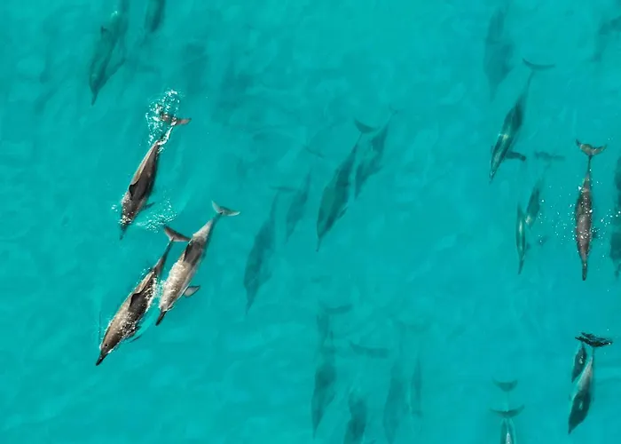 Oasis Dunas Raices Del Mar Paraiso Unico Apartmán *