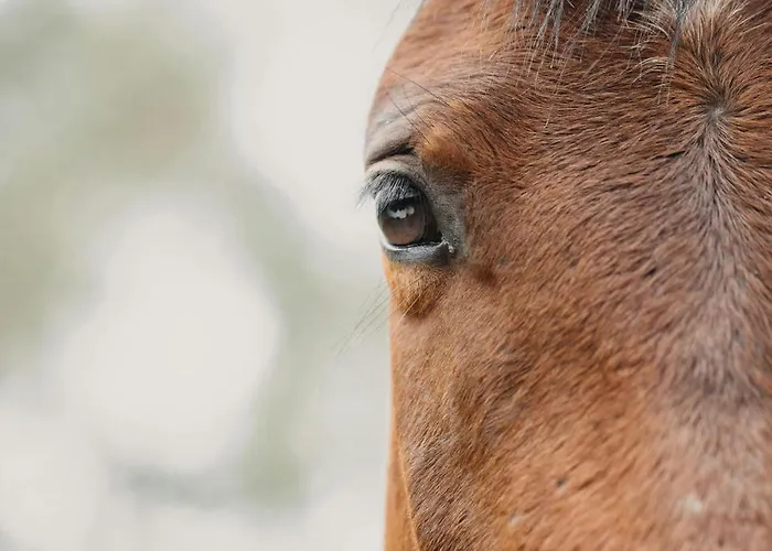 Apartmán Oasis Dunas Raices Del Mar Paraiso Unico *