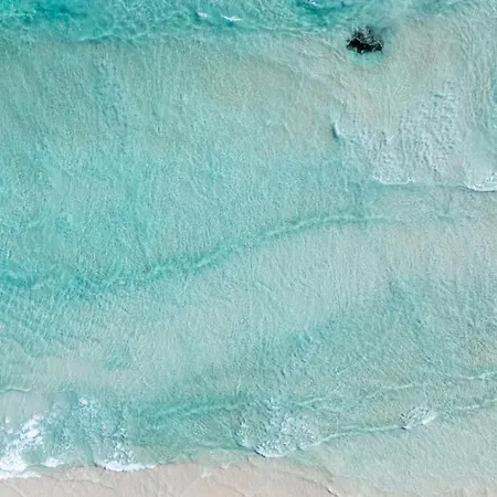 Oasis Dunas Raices Del Mar Paraiso Unico *