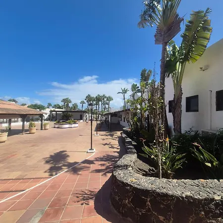 Oasis Dunas Raices Del Mar Paraiso Unico * Corralejo