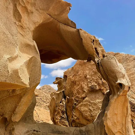 Oasis Dunas Raices Del Mar Paraiso Unico